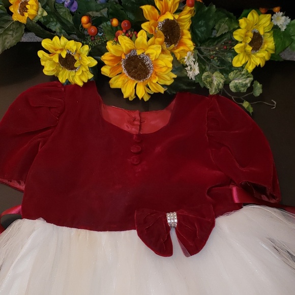 Girls velvet and tulle dress - Picture 3 of 3